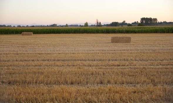 Field after harvest in Spain