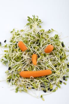Fresh alfalfa sprouts and carrot isolated on white background