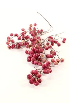 a panicle with pink pepper berries on a light background
