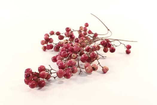 a panicle with pink pepper berries on a light background