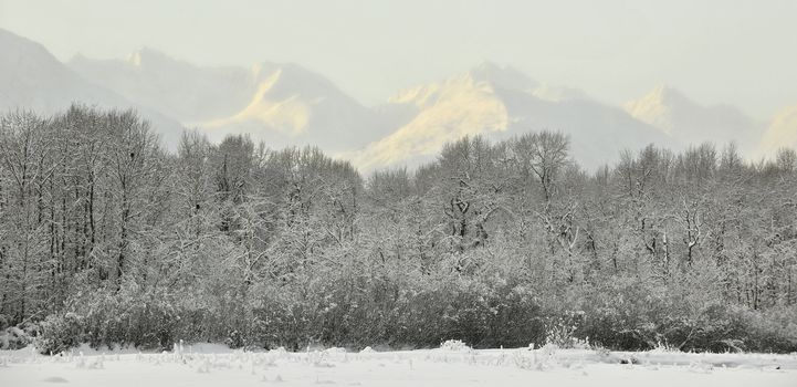 Mountain tops in snow on a sunset. Alaska. USA