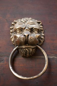 Photo of Lion door knocker
