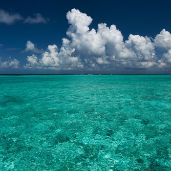 Crystal clear turquoise water at tropical maldivian beach