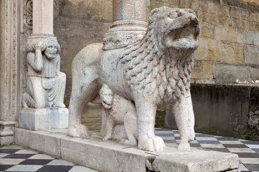 Detail of one of the lions supporting the columns of the right transept porch. Basilica of Santa Maria Maggiore, Bergamo Alta