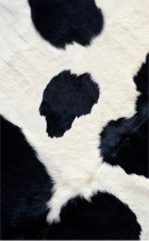 Cow skin texture