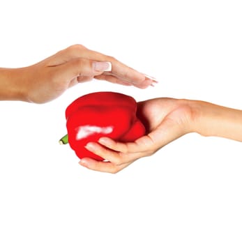 Large red bell pepper in a human hand