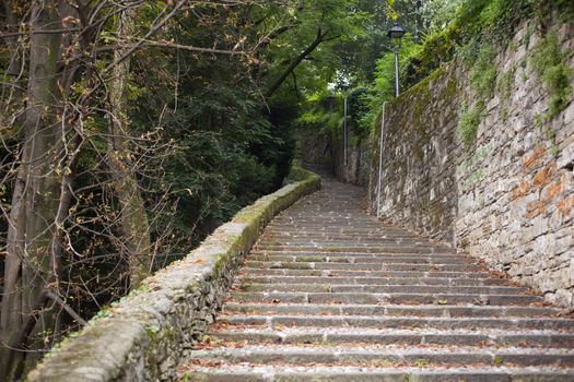 Old Staircase in the grove, Bergamo alta - Italy