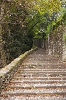 Old Staircase in the grove, Bergamo alta - Italy