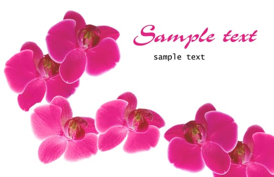 empty post card, isolated on illustration background