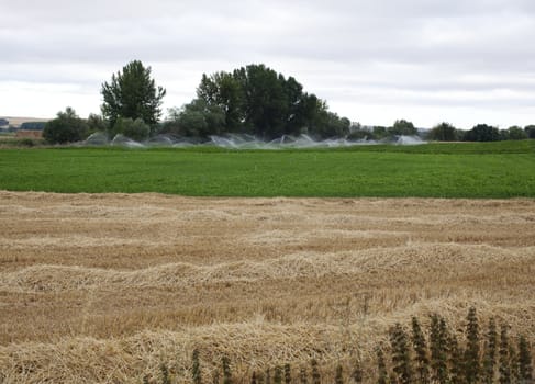 View of spanish countryside