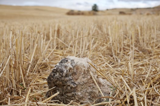 Stone in a field, spanish countryside