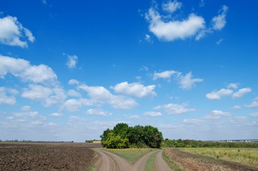 two roads under deep blue sly