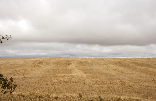 View of spanish countryside