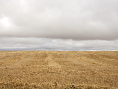View of spanish countryside
