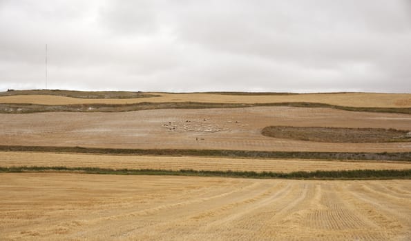 View of spanish countryside
