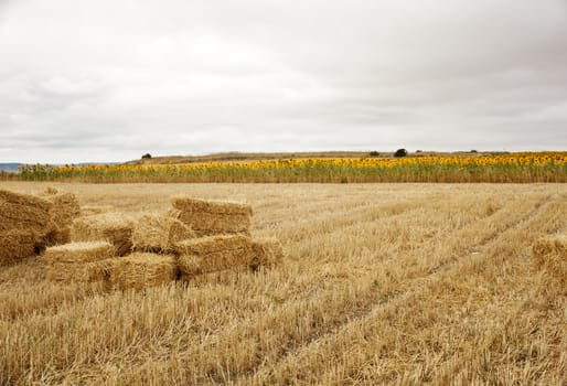 Bales of hay, spanish countryside