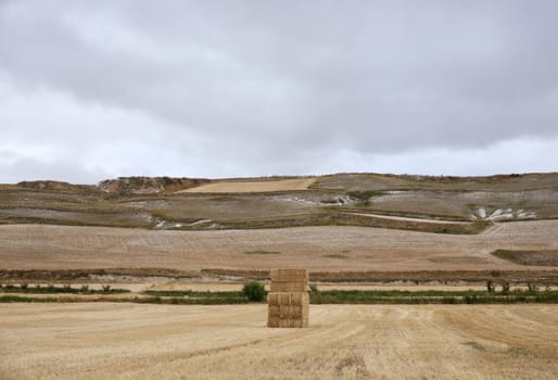 Bales of hay, spanish countryside