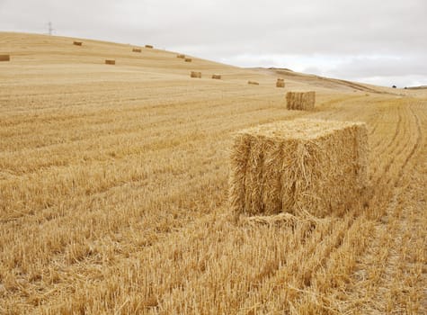 Bales of hay, spanish countryside