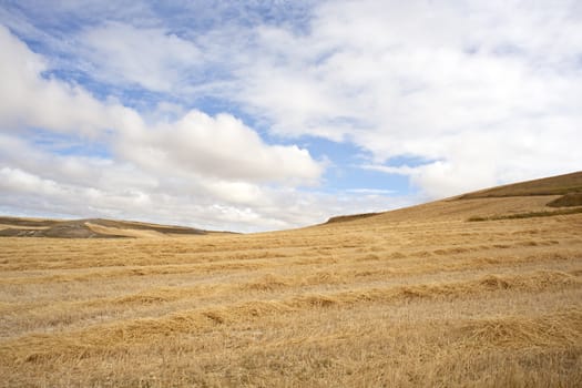 Bales of hay, spanish countryside