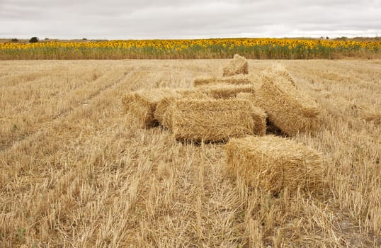Bales of hay, spanish countryside