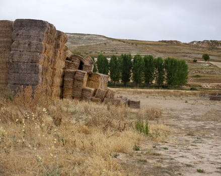 Bales of hay, spanish countryside