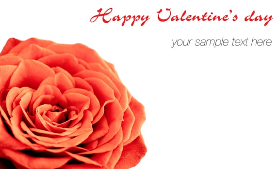 empty post card, isolated on illustration background