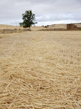 Bales of hay, spanish countryside