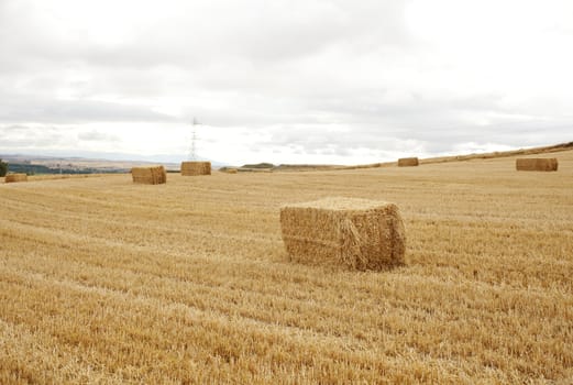 Bales of hay, spanish countryside