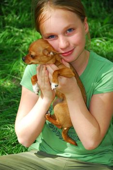 Smiling young girl holding a chihuahua puppy