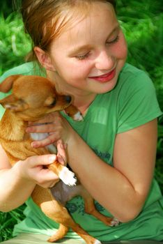 Smiling young girl holding a chihuahua puppy (who just licked her:))