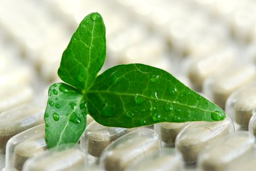 Herbal supplement pills close up with fresh green leaf