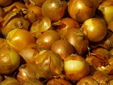 onions as a background