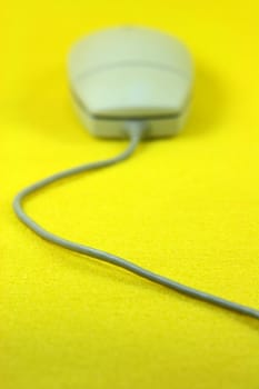 blur mouse in yellow background vertical