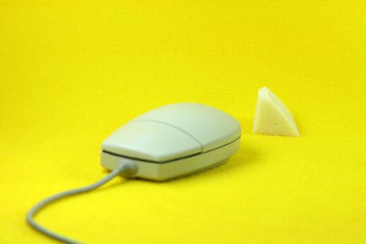 mouse going for cheese in yellow background horizontal business concepts humor