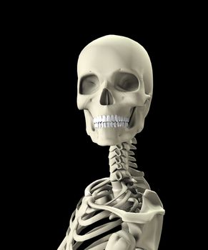 Close up image of a skeleton looking towards you.