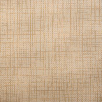 backgrounds of leather texture