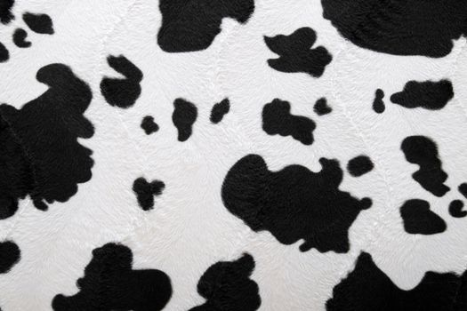 fur carpet with black cow skin pattern background