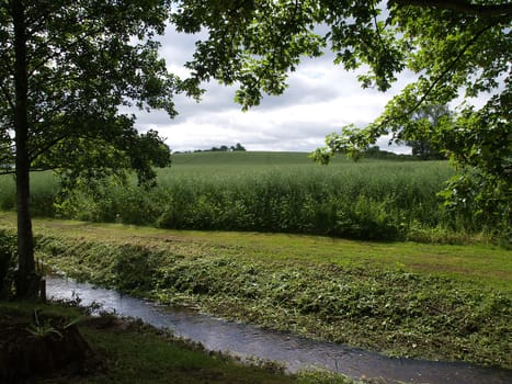 Small river creek between green fields and trees great nature landscape    