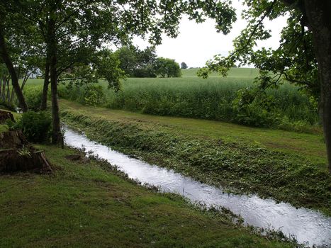 Small river creek between green fields and trees great nature landscape