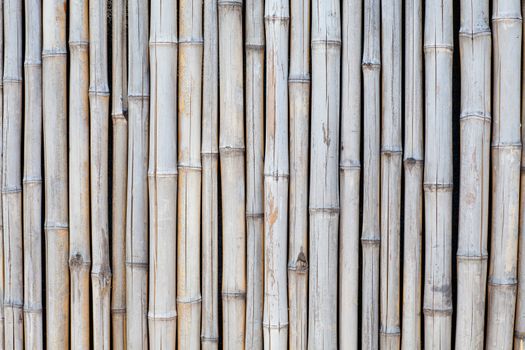 background of bamboo as a fence