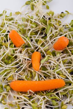 Fresh alfalfa sprouts and carrot isolated on white background