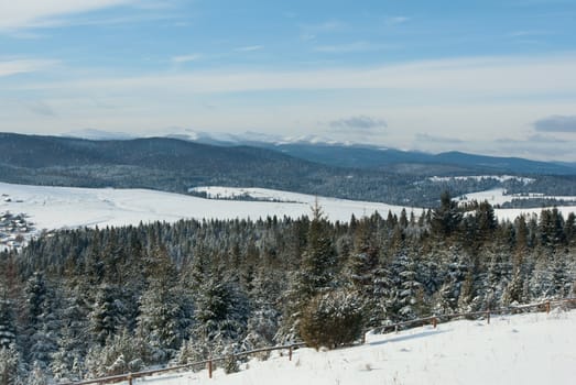 Fir trees covered with snow on a winter mountains and blue sky