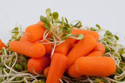 Fresh alfalfa sprouts and carrot isolated on white background