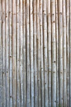 pattern of vintage bamboo panel