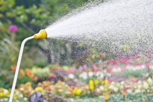 Watering in the garden
