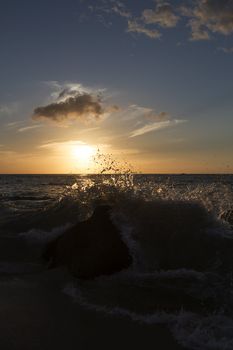 Wave crashing on a rock at the beach during sunset