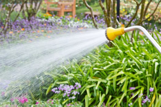 Watering in the garden