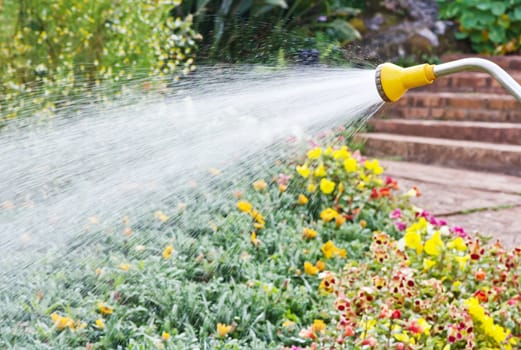 Watering in the garden