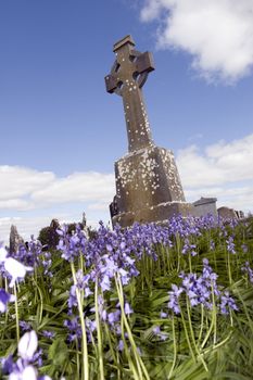 old ancient Celtic graveyard with unmarked gravestones and bluebell flowers in Ireland