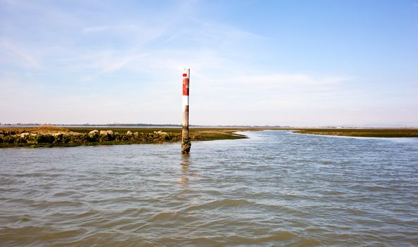 Grado lagoon, Friuli Venezia giulia - Italy